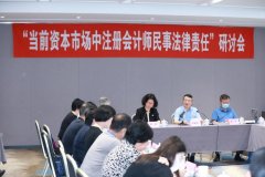 “当前资本市场中注册会计师民事法律责任”